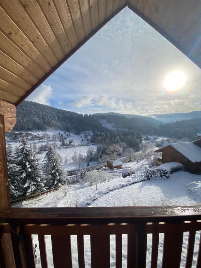 Chalet De La Grimpette Au Coeur De Gerardmer Exterior photo